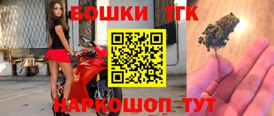 тгк Обь