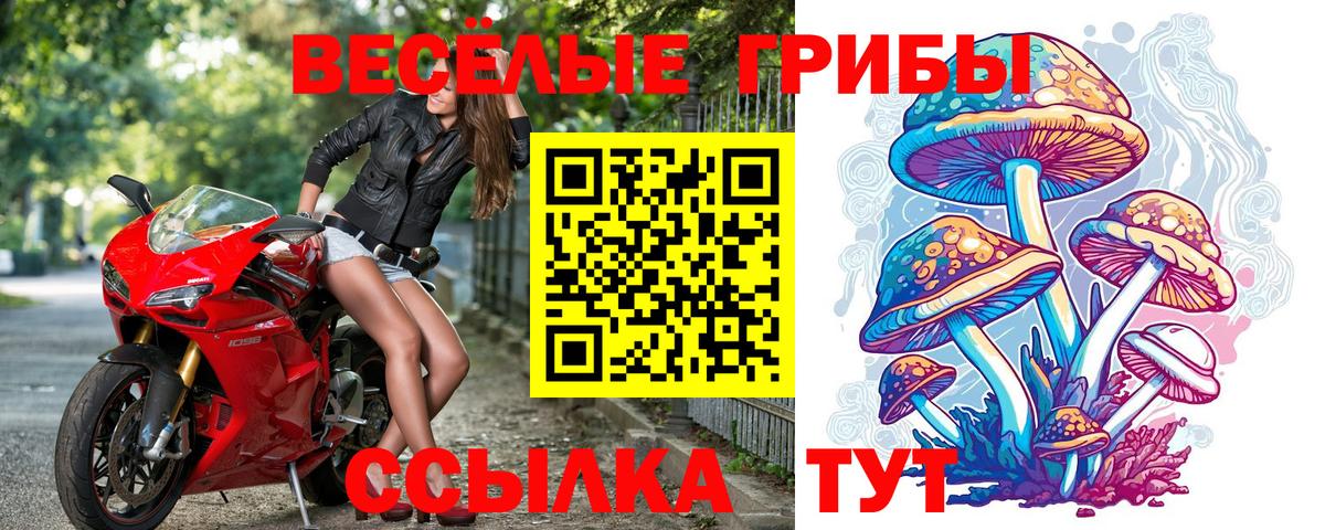 Псилоцибиновые грибы мицелий Семёнов