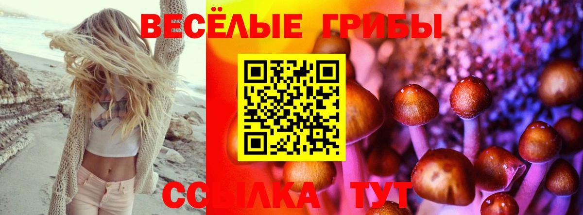 что такое наркотик  Вход с VPN  Семёнов  Псилоцибиновые грибы прущие грибы 